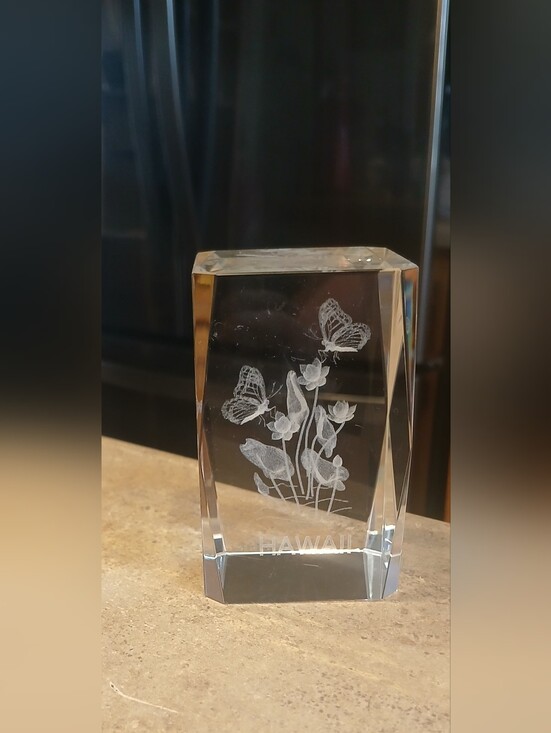 Souvenir Other - Vintage Hawaii 3D Laser-etched Cystal Glass  Paperweight